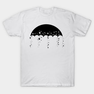 The Beauty Of The Falling Star T-Shirt